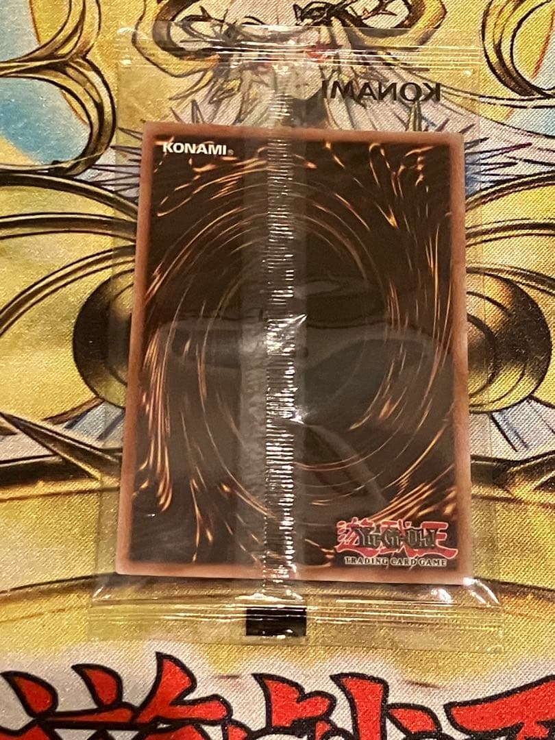 遊戯王　日本選手権2026 プロモ　The Lady's Protectors