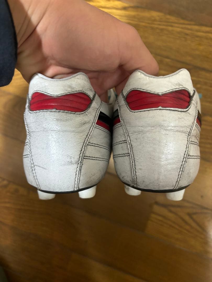 MIZUNO MORELIA Ⅱ JAPAN AG 25.0cm