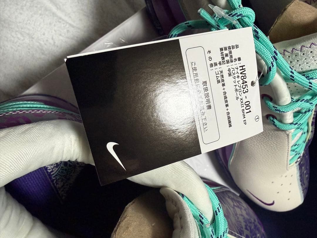 Nike レブロン 22 EP HV8453-001