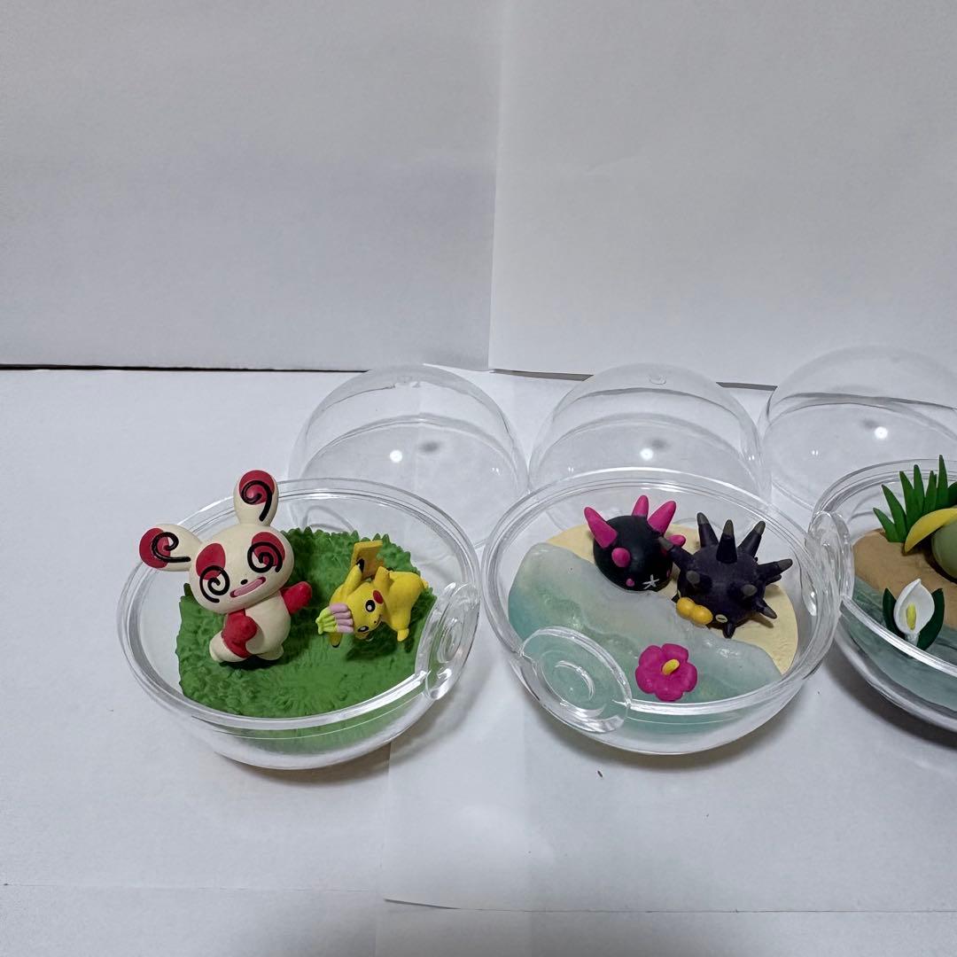 ポケットモンスター　テラリウムコレクション　5体セット