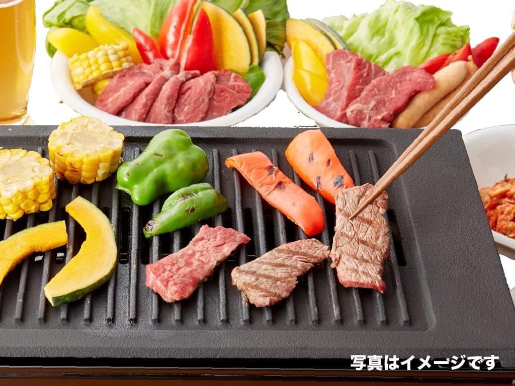 シルクルーム 高級 焼肉ロースター王者 Y-18T 13A