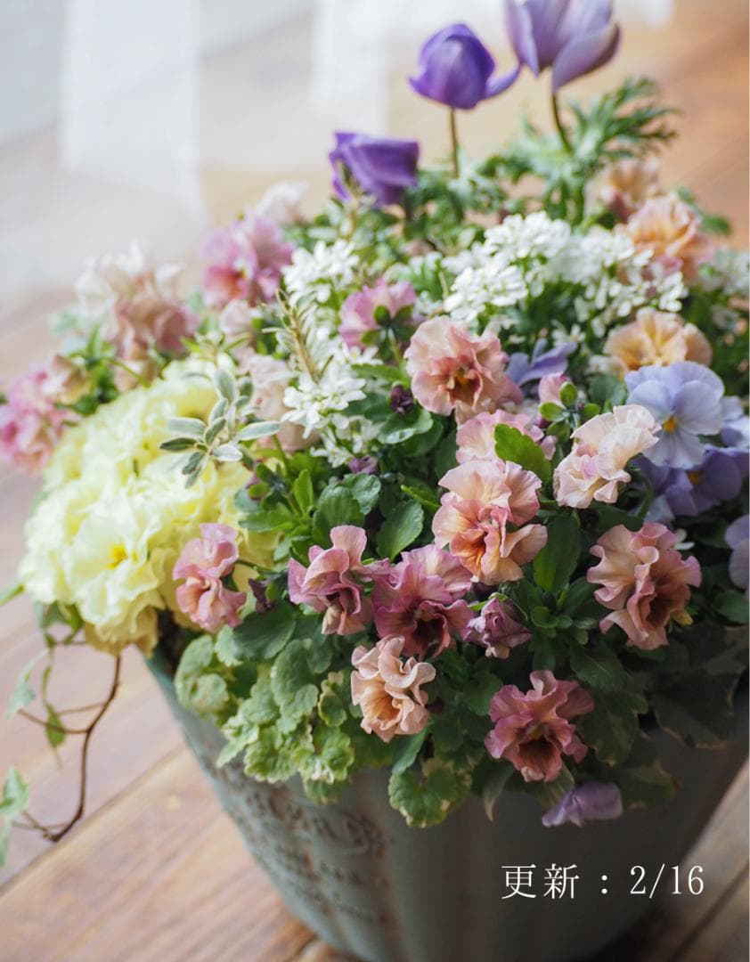 【お値下】アンティークな大人ピンクの寄せ植え