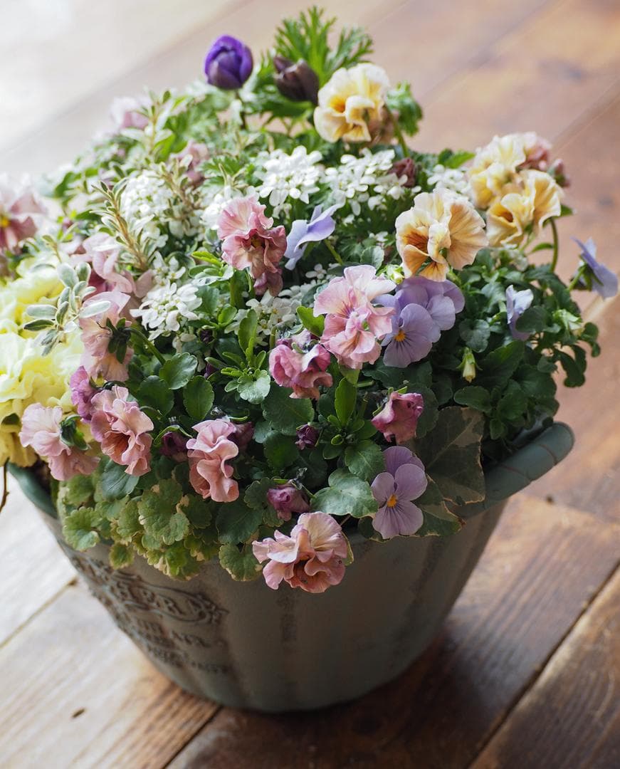 【お値下】アンティークな大人ピンクの寄せ植え