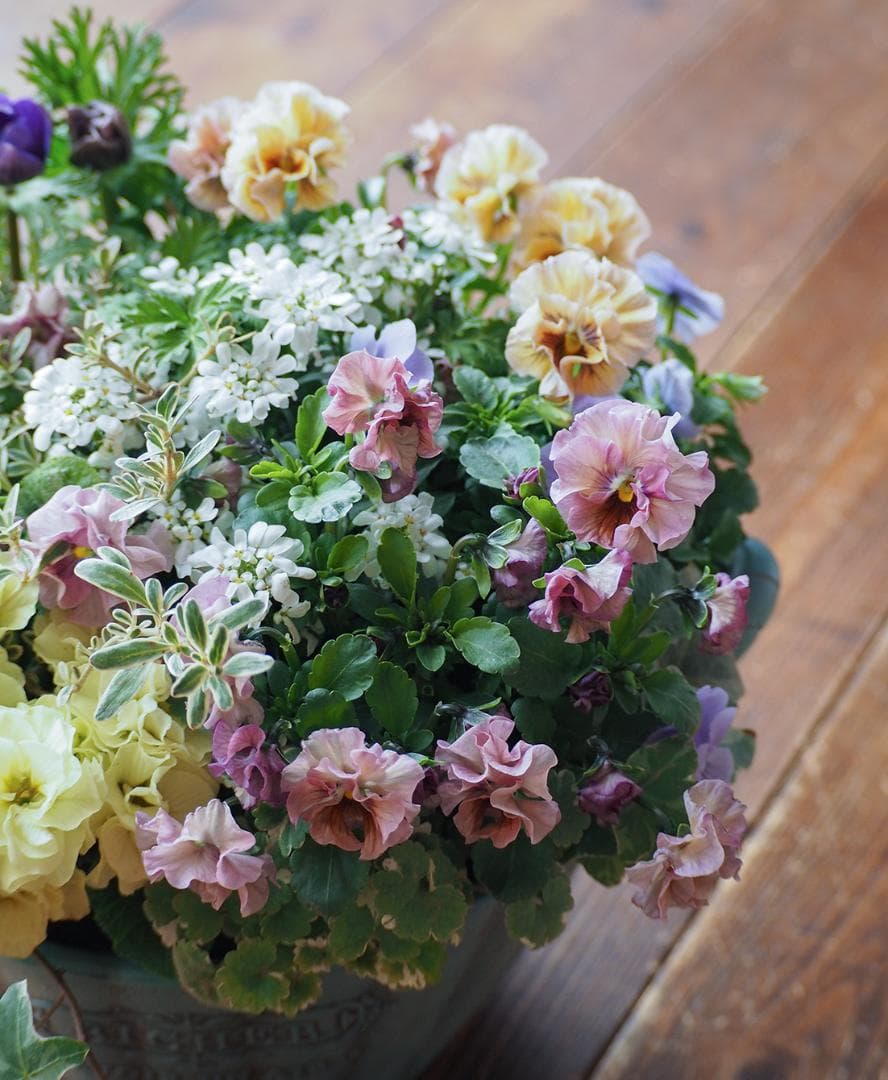 【お値下】アンティークな大人ピンクの寄せ植え