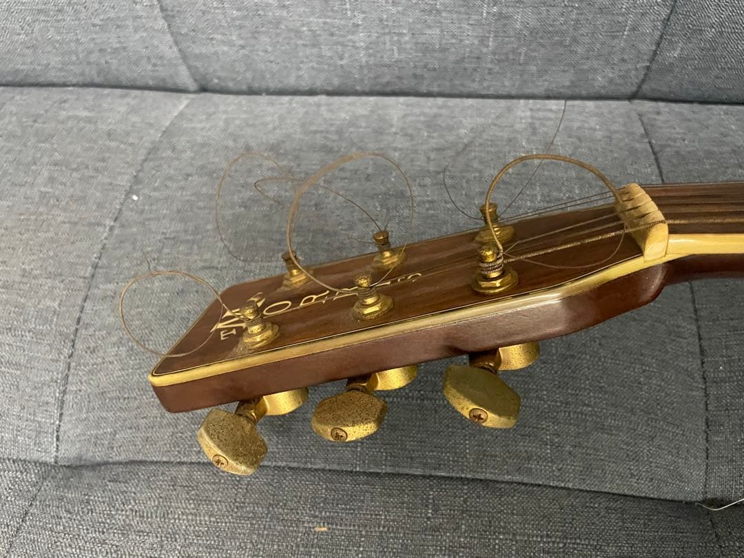 ❷Morris TF-801 アコースティックギター モーリス　楽器