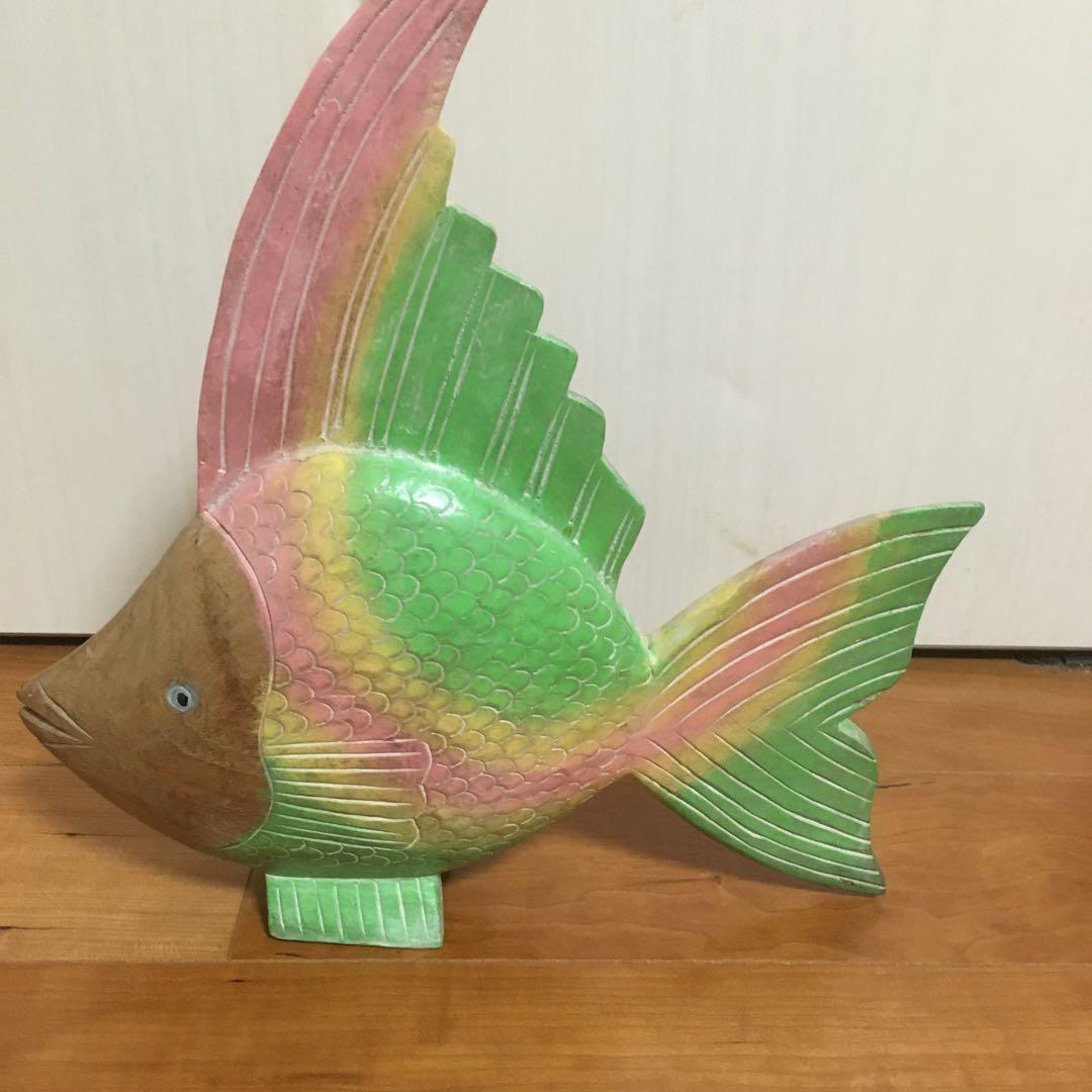 カラフルな熱帯魚　心がなごみます
