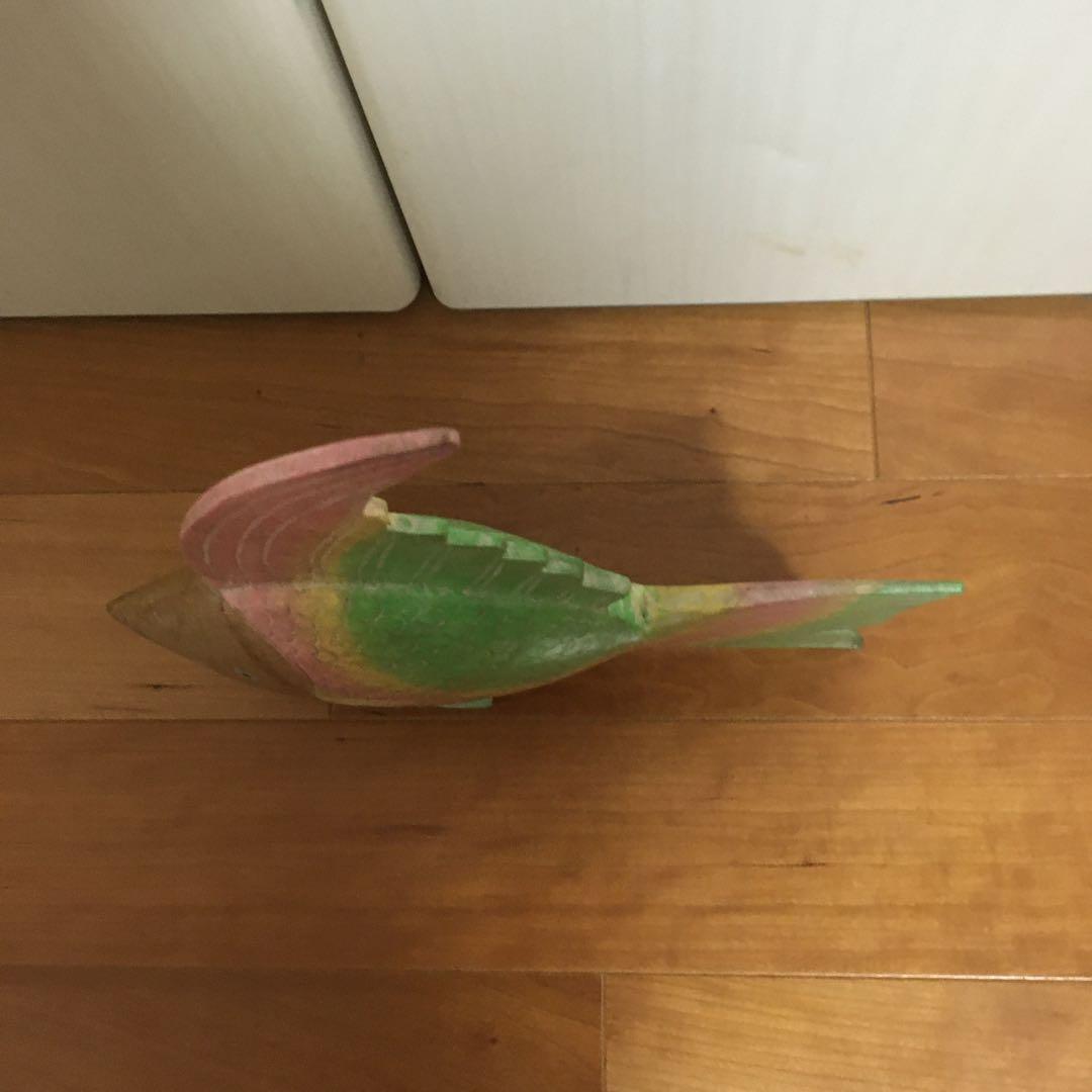 カラフルな熱帯魚　心がなごみます
