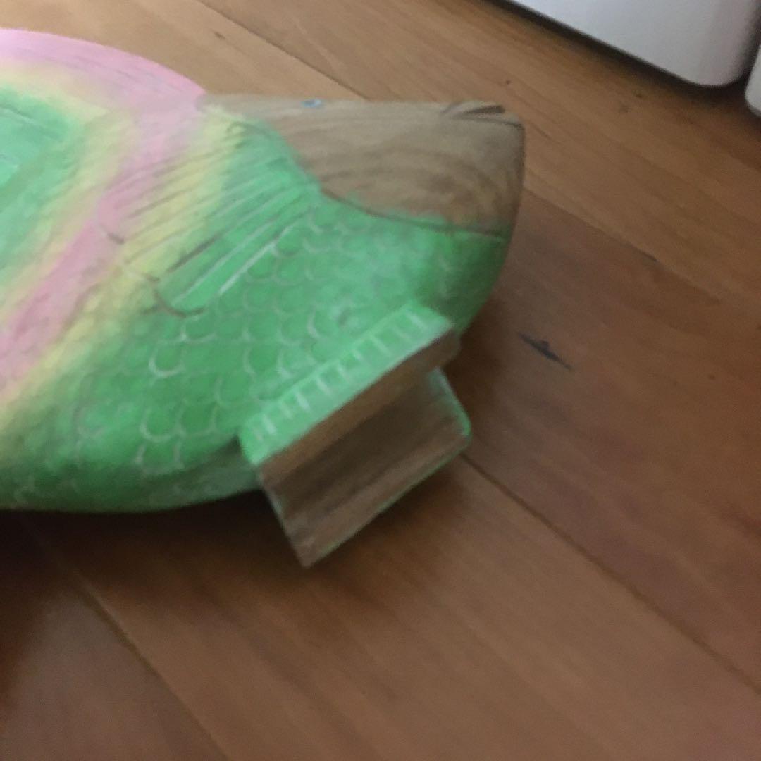 カラフルな熱帯魚　心がなごみます