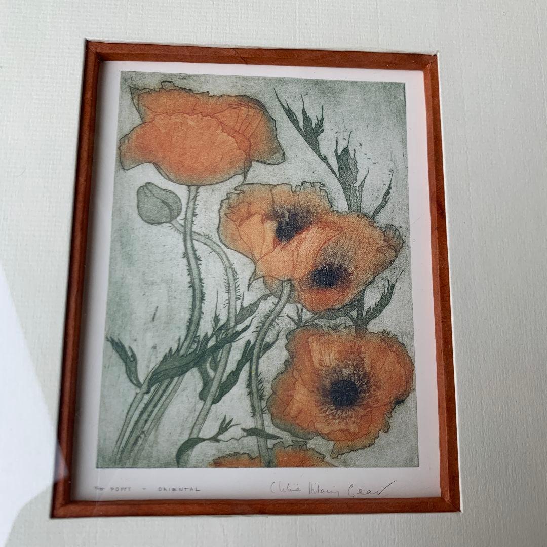 ボタニカルアート　植物画　ポピー　英国　イギリス　絵画　額　木製フレーム