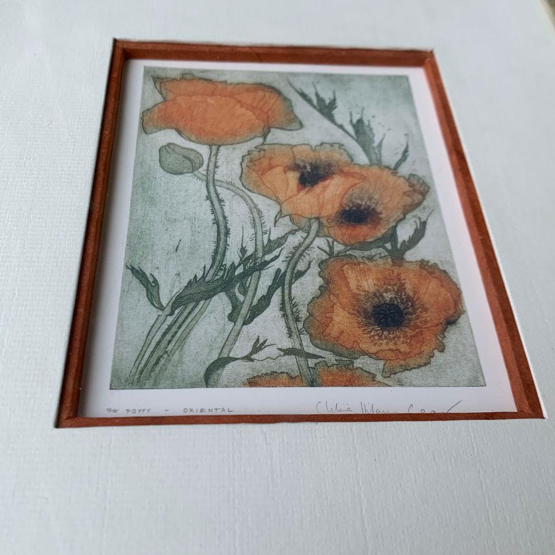 ボタニカルアート　植物画　ポピー　英国　イギリス　絵画　額　木製フレーム