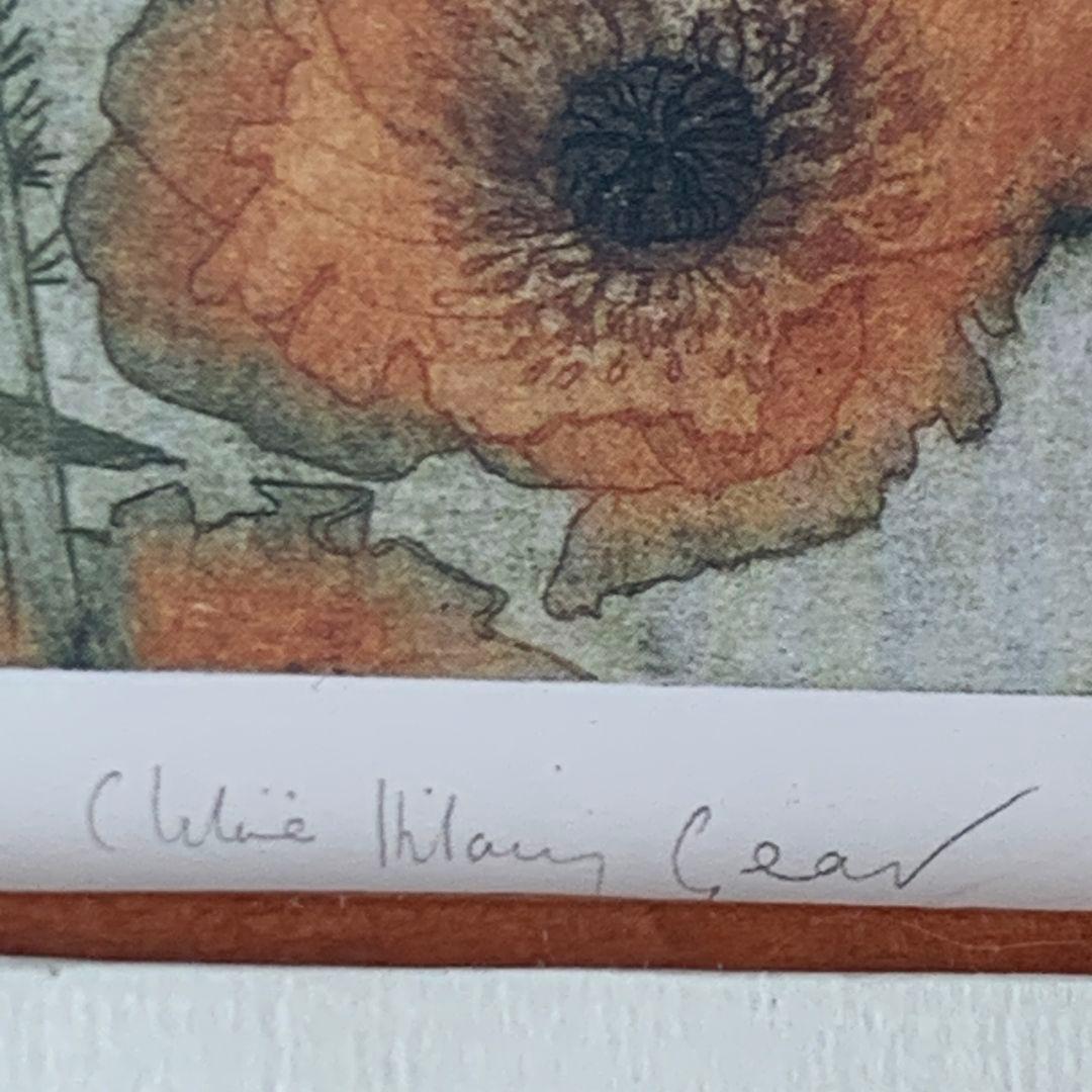 ボタニカルアート　植物画　ポピー　英国　イギリス　絵画　額　木製フレーム