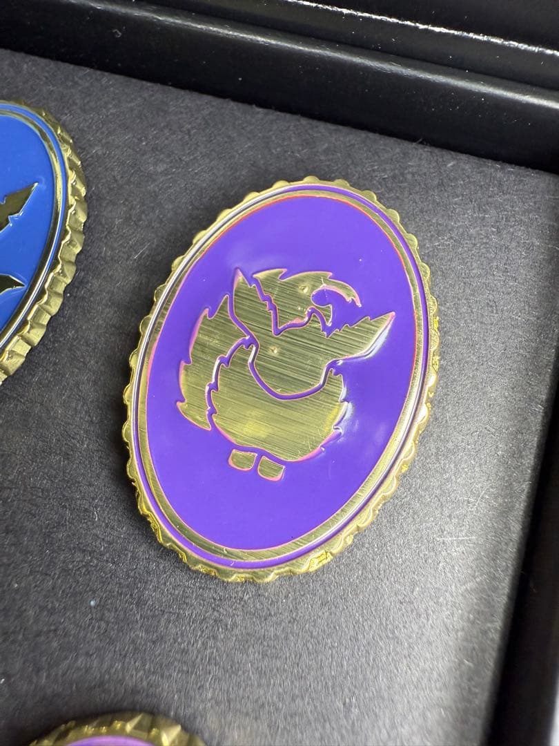 【限定】ポケモン×ロンドン自然史博物館コラボ　ブイズピンバッジセット