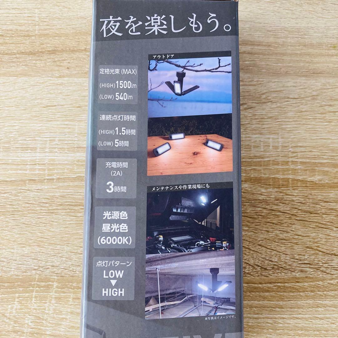FAZ-3P3 日動工業 NICHIDO アクティブライト ハズセルズミー