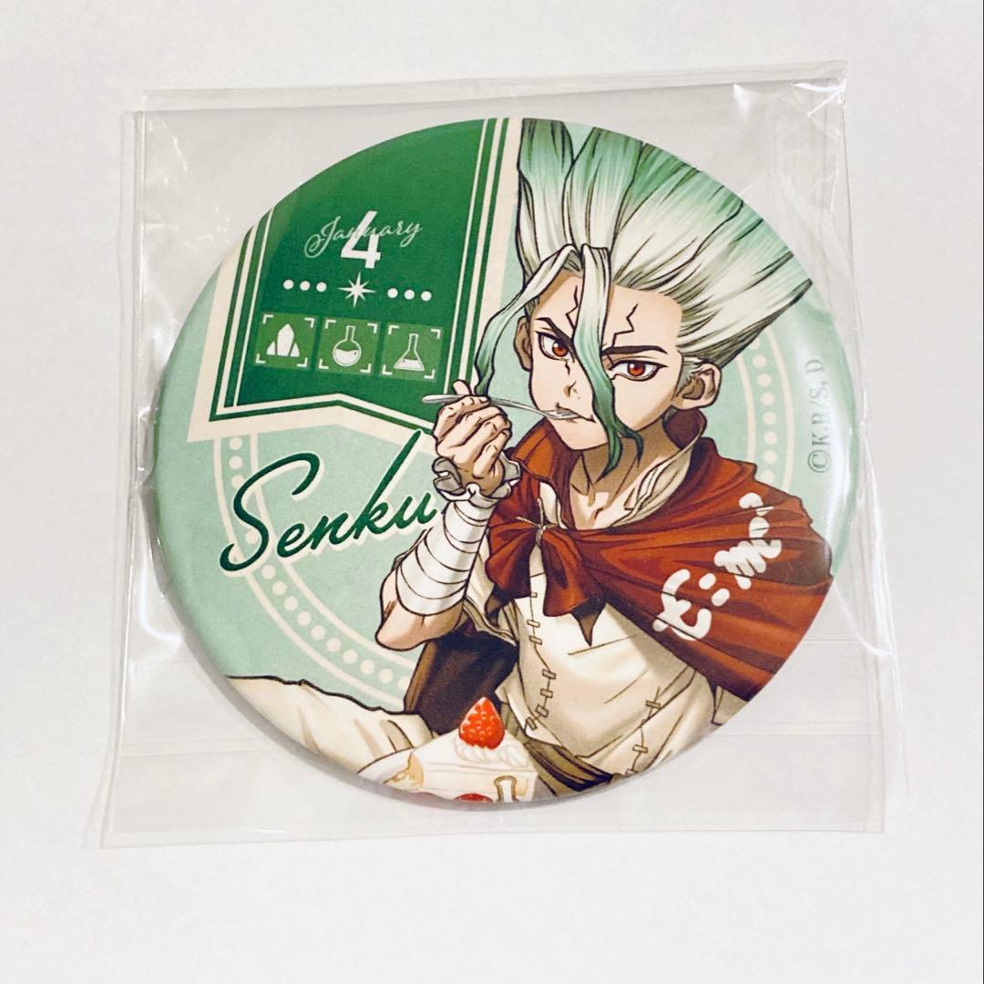 Dr.STONE 石神千空 バースデー 缶バッジ 8点