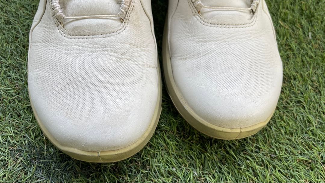 ECCO GOLF BIOM H4 BOA バイオム ハイブリッド４ ボア