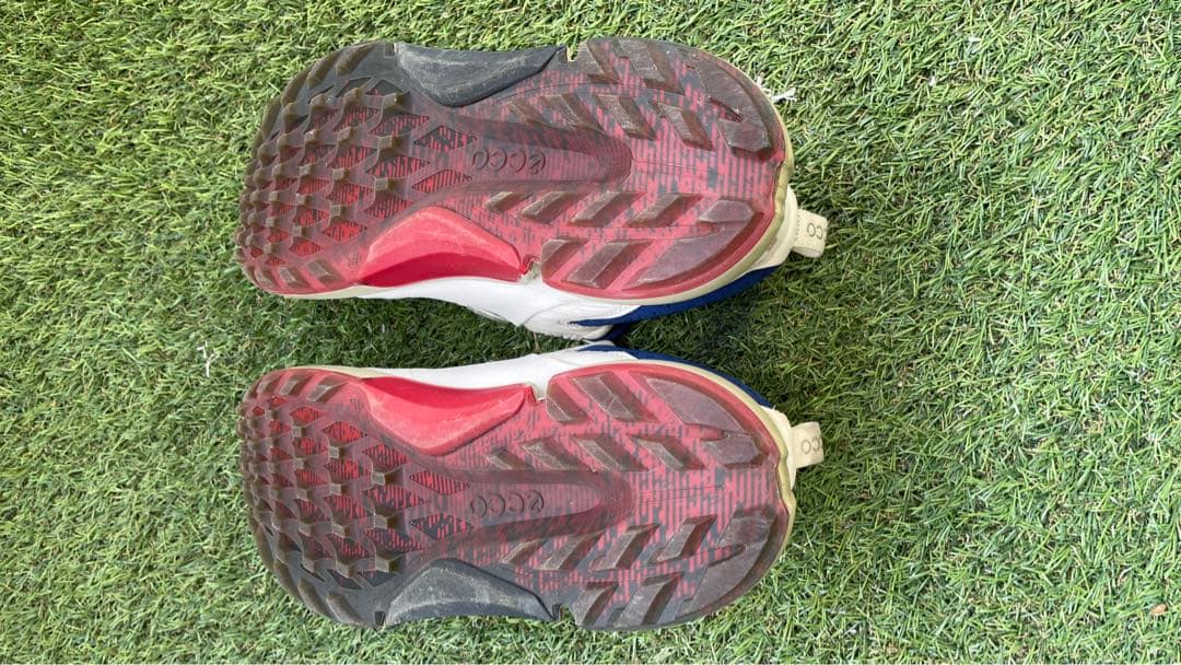 ECCO GOLF BIOM H4 BOA バイオム ハイブリッド４ ボア