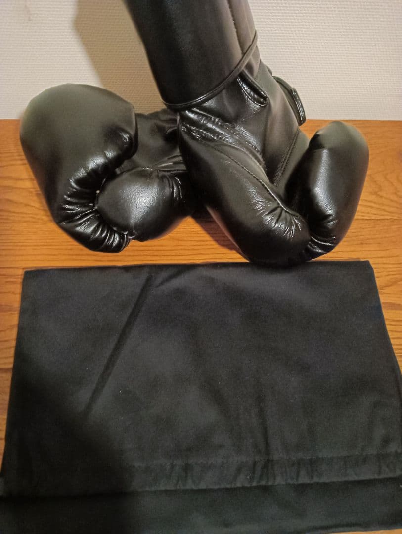 美品　ＦＬＹ ボクシンググローブ　正規品