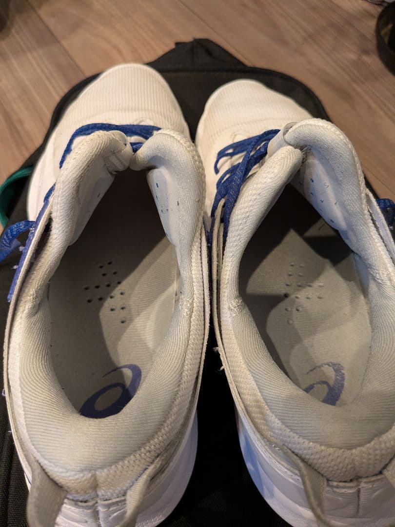 シューズ(男性用) GLIDE NOVA FF4 asics