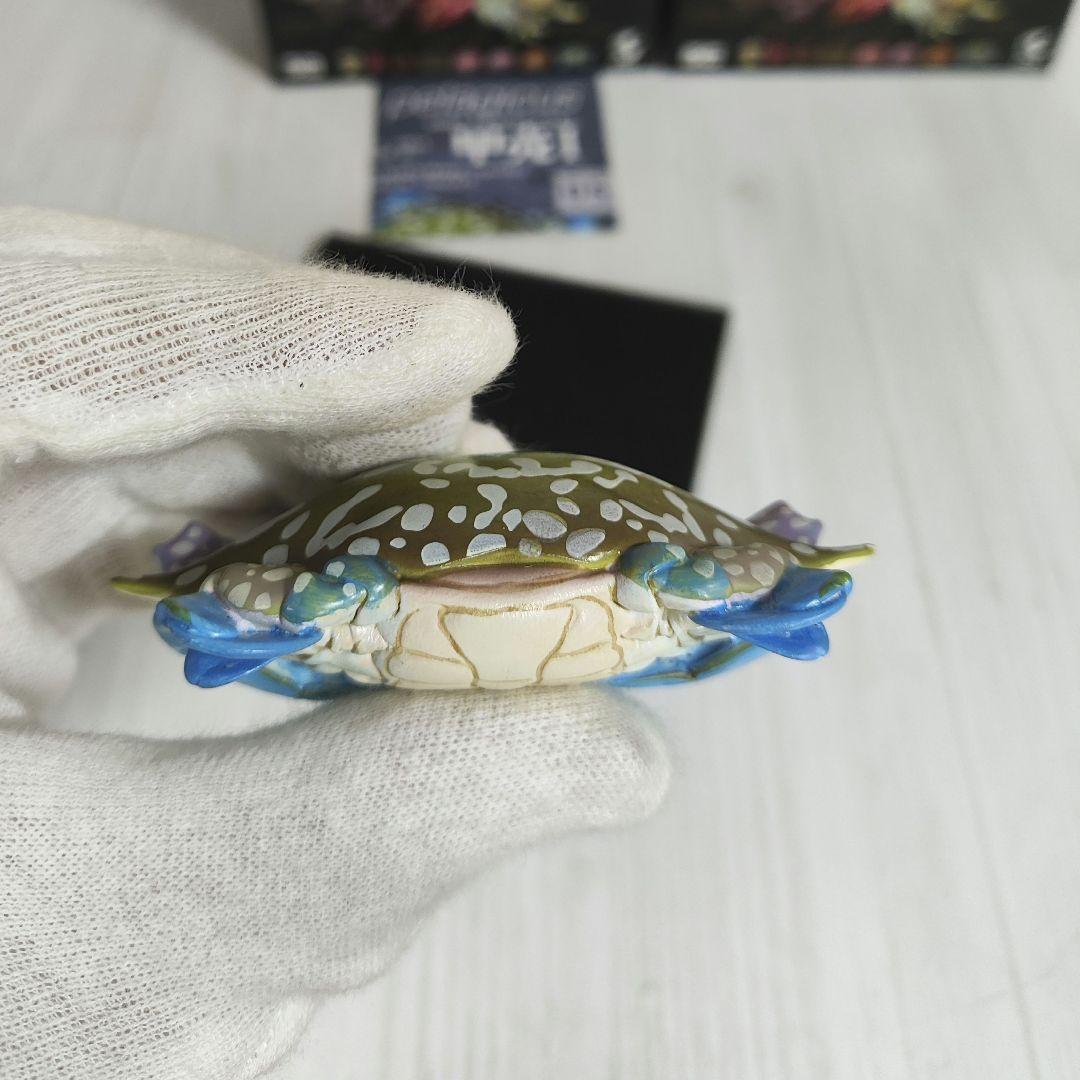 【動物の惑星】スーパーレア★第6弾/長江第1弾/ホウシャガメ!! フィギュア