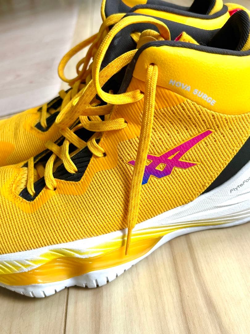 ASICS アシックス　NOVA SURGE2 28.5センチ　新品