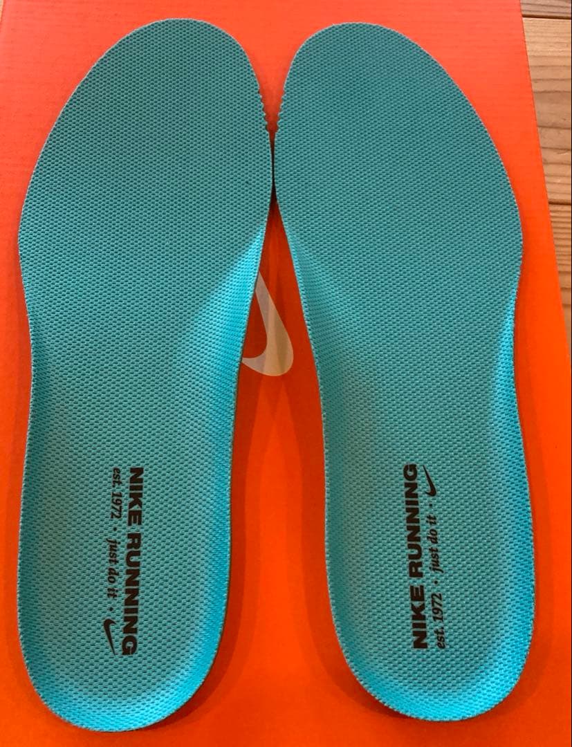 Nike ペガサス41 27cm