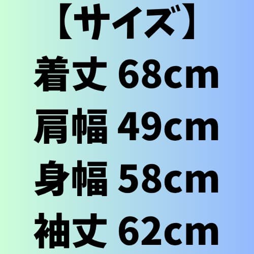 ノースフェイス スキーウェア XL マウンテンジャケット スノボ ブラック 黒