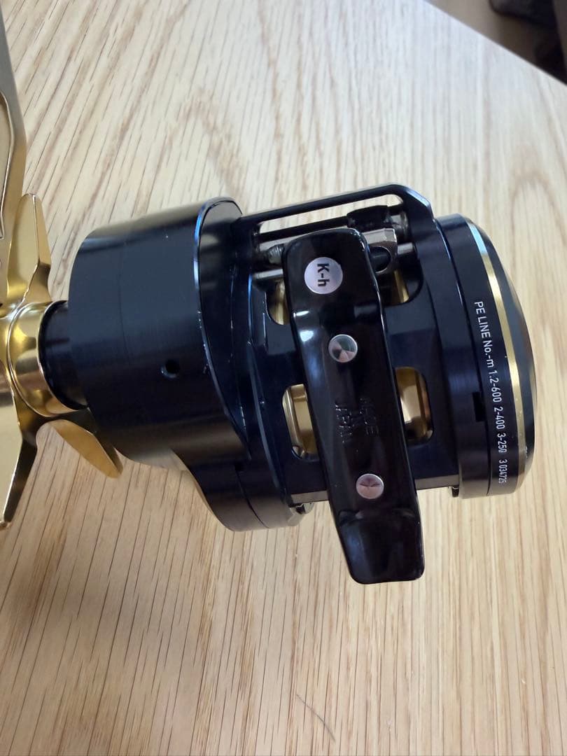 リール Daiwa 21 Saltiga IC300H-SJ