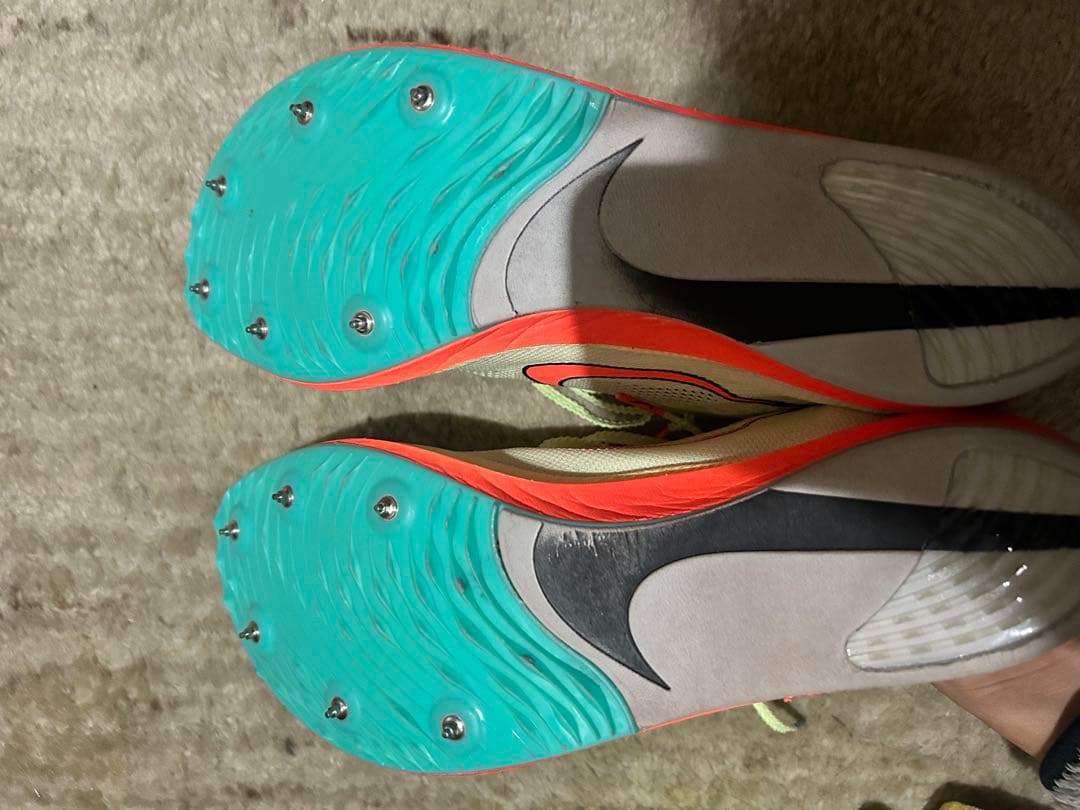 NIKE ドラゴンフライ　29.5cm