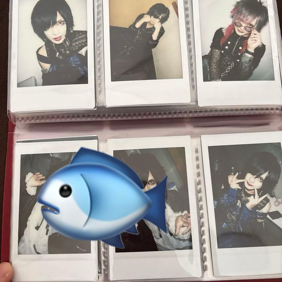 36枚　グラビティ　myu チェキ