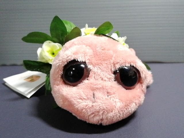新品タグ付 ロイヤルハワイアンホテル ホヌ 亀 ぬいぐるみ ハワイ ワイキキ