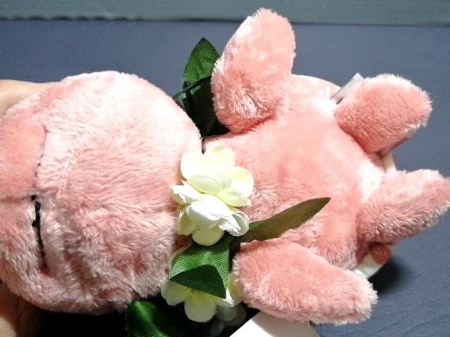 新品タグ付 ロイヤルハワイアンホテル ホヌ 亀 ぬいぐるみ ハワイ ワイキキ
