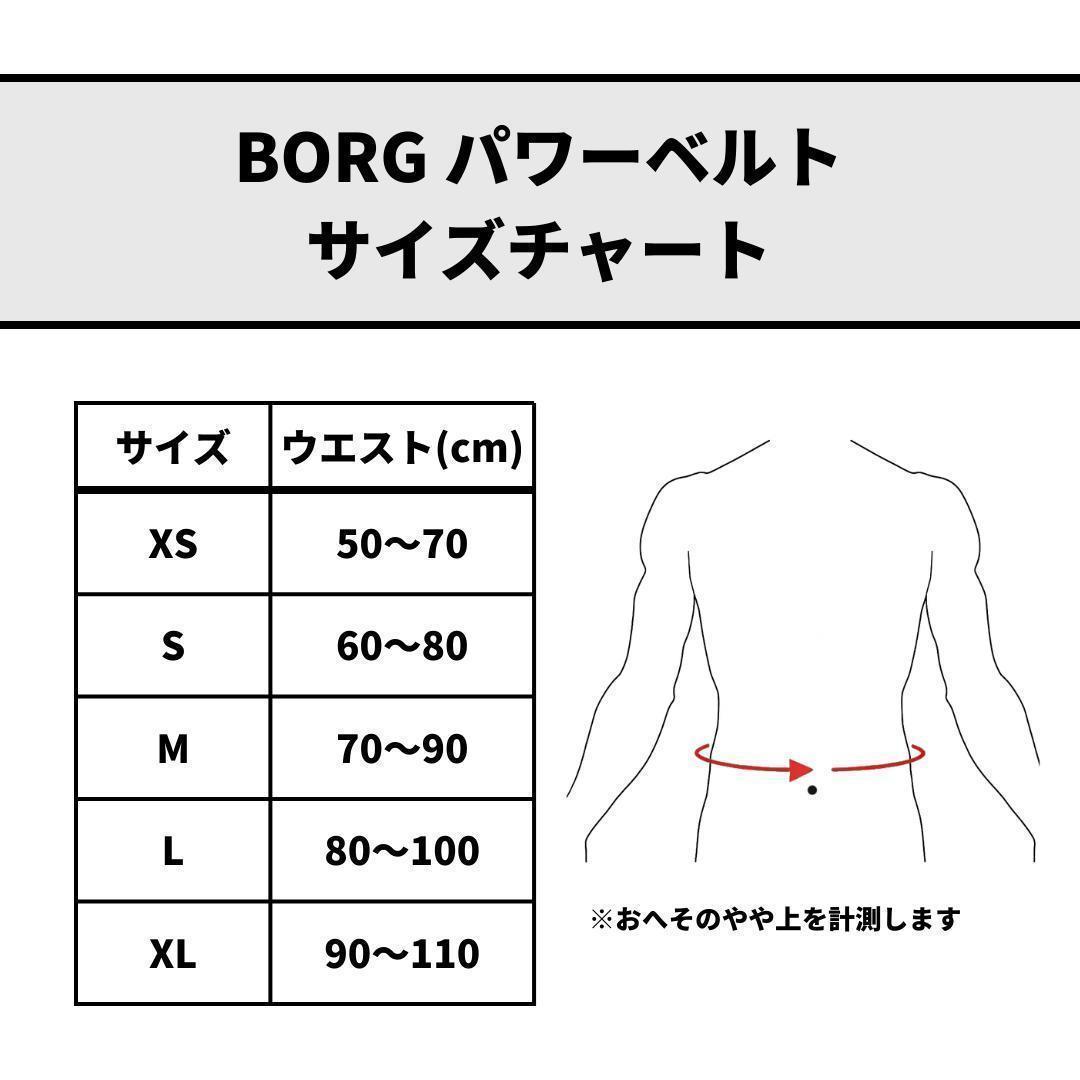 BORG パワーベルト トレーニングベルト レバーアクション Mサイズ 10mm