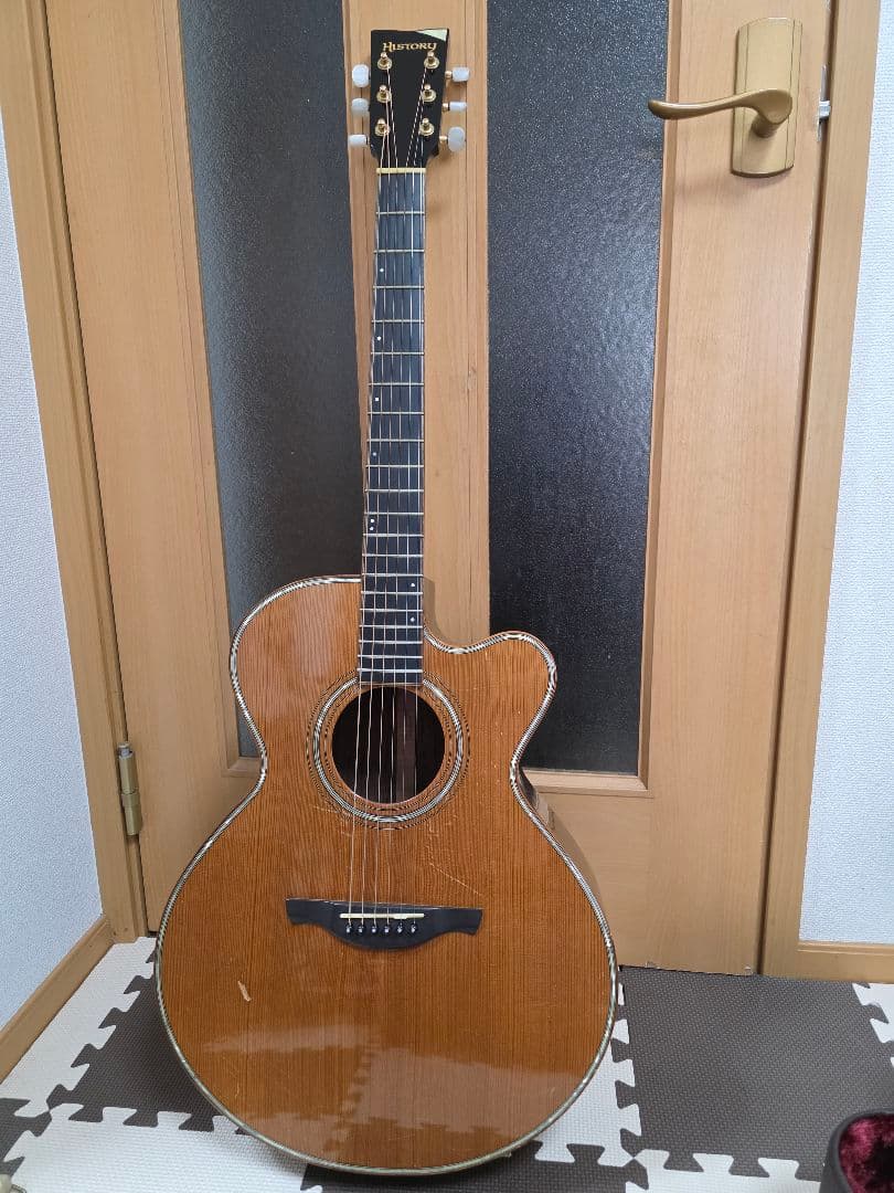 アコースティックギターHISTORY NT-301