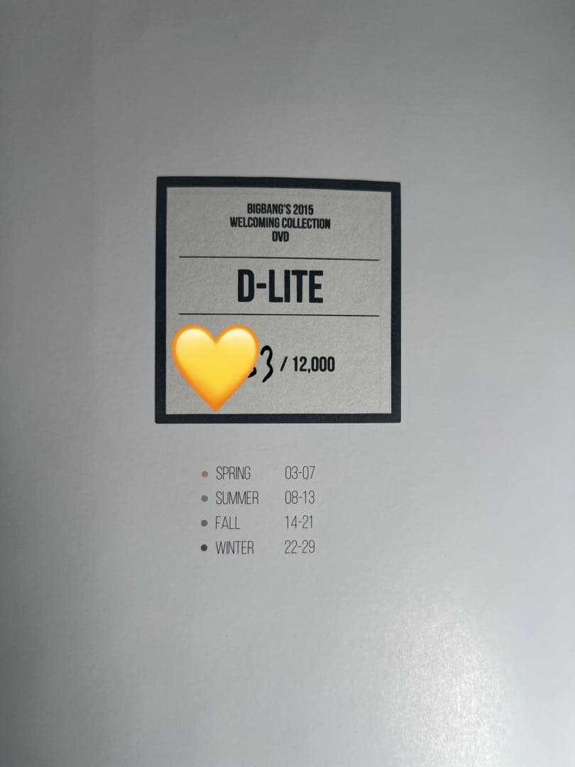 BIGBANG 2015 WELCOMING COLLECTION テソン