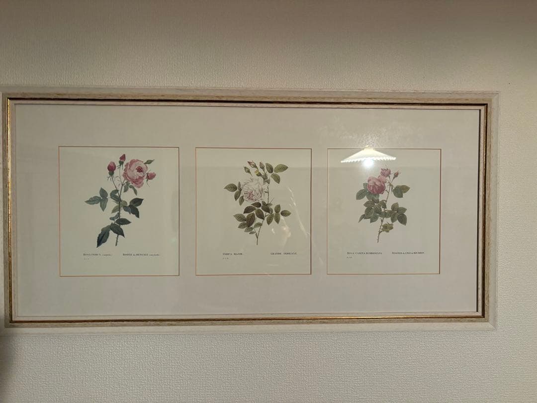 ローラアシュレイ 薔薇の額絵