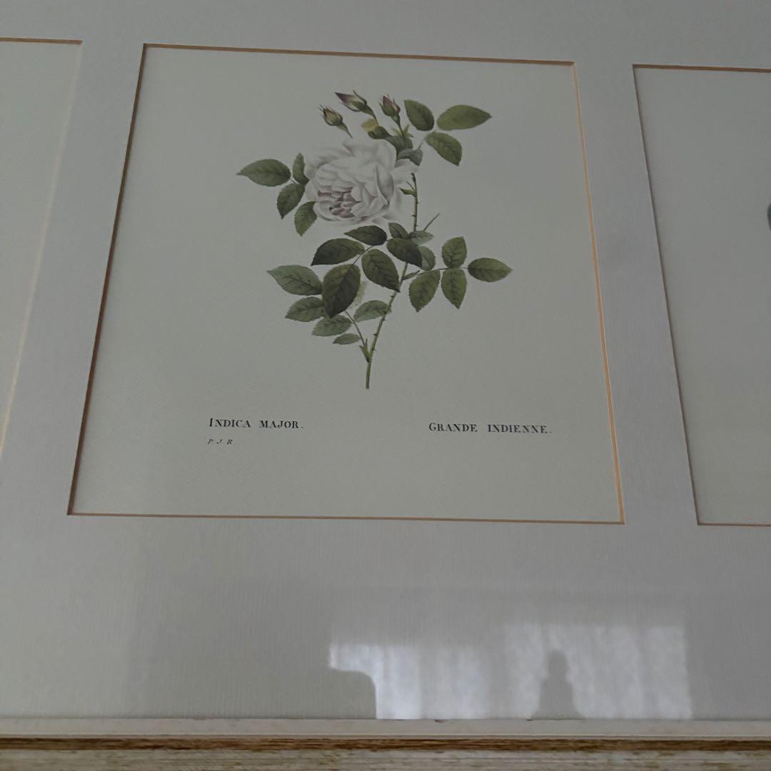 ローラアシュレイ 薔薇の額絵