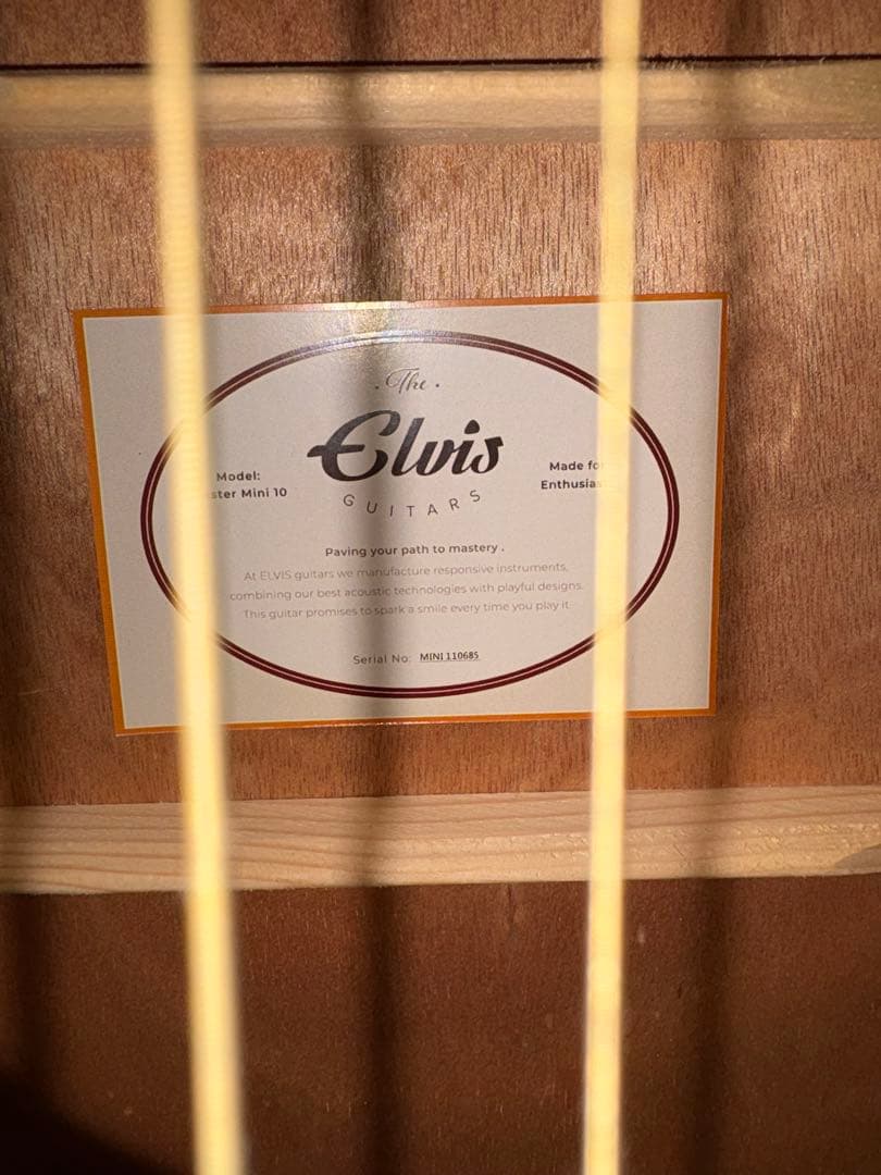 ギター ELVIS Master Mini