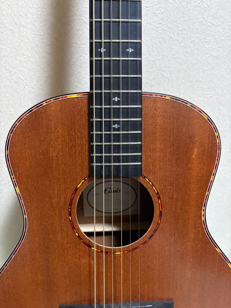 ギター ELVIS Master Mini