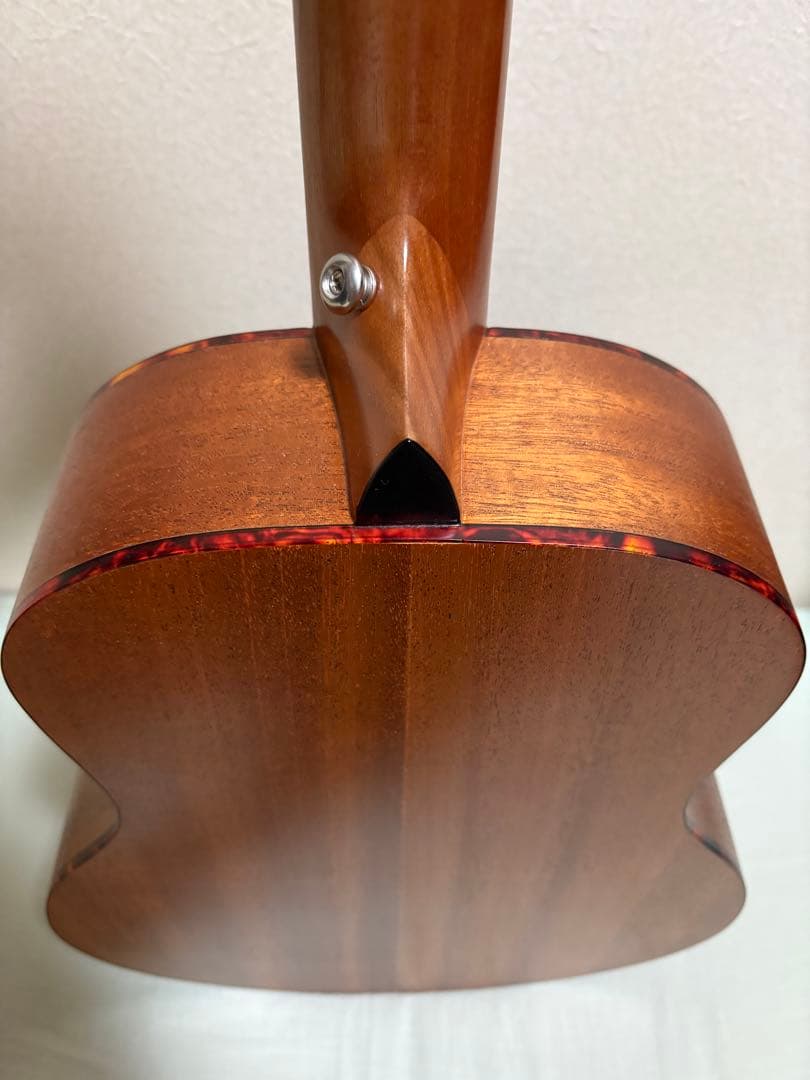 ギター ELVIS Master Mini