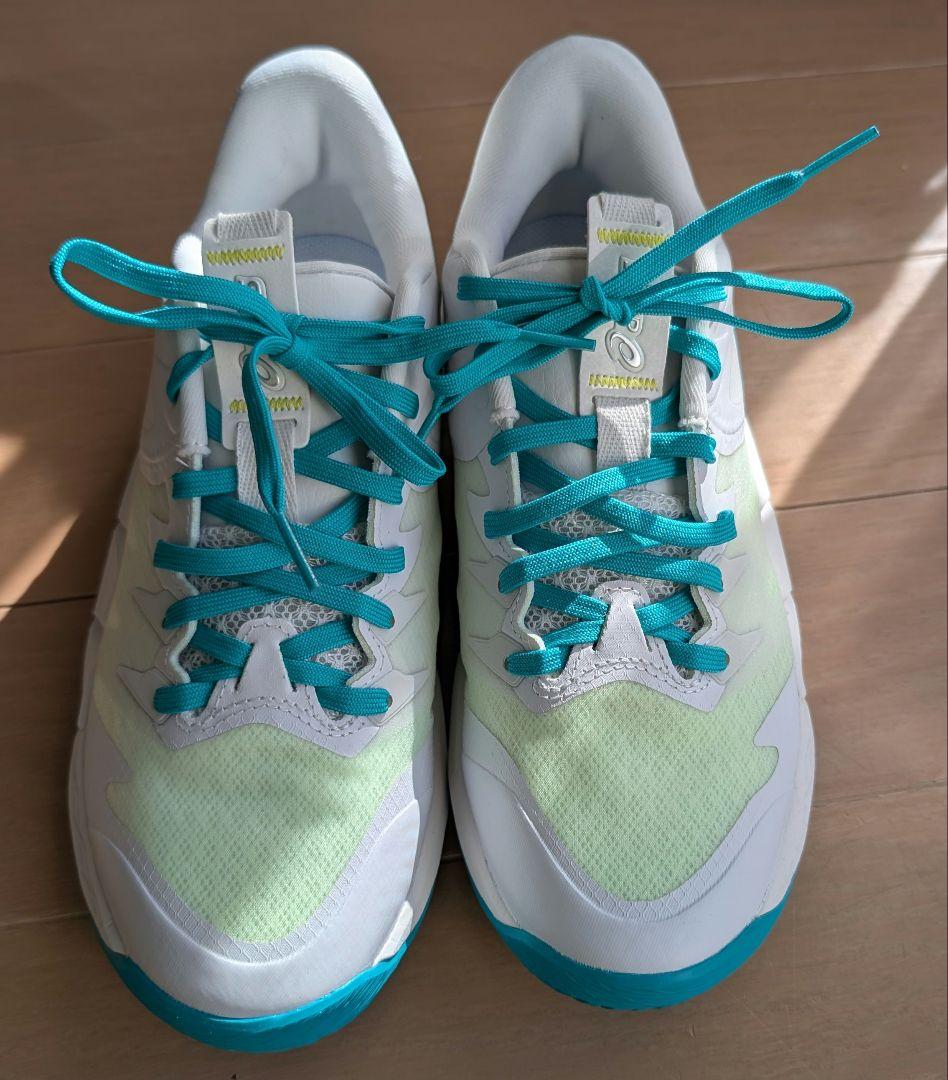 anpre ars low2 24.5cm　ASICS バッシュ