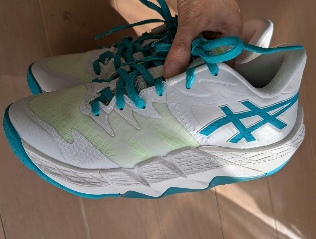 anpre ars low2 24.5cm　ASICS バッシュ