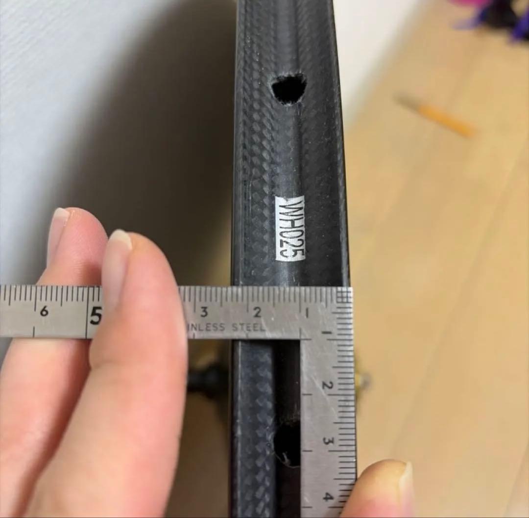 HED STINGER Disc ヘッド スティンガー ディスク リア カーボン