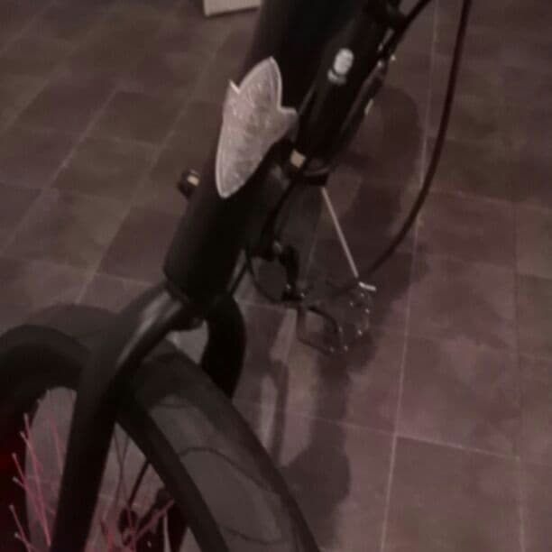 エレクトラ 自転車