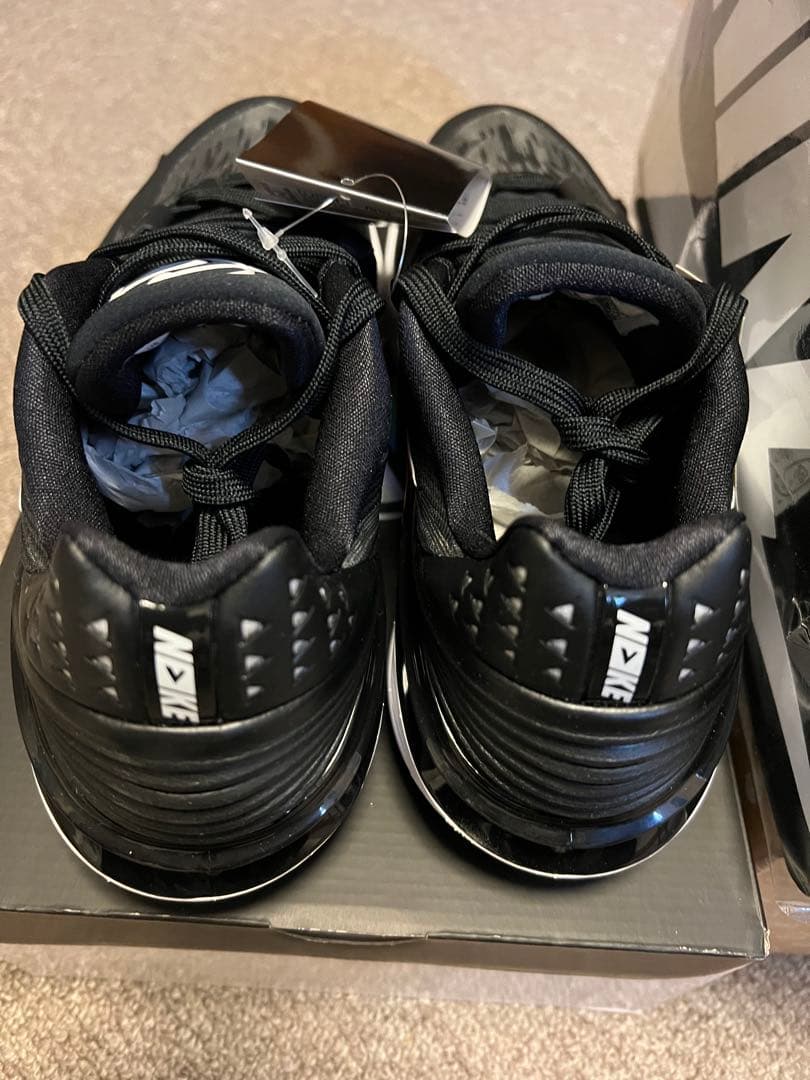 シューズ(男性用) NIKE AIR ZOOM G.T.CUT 2 EP 29cm