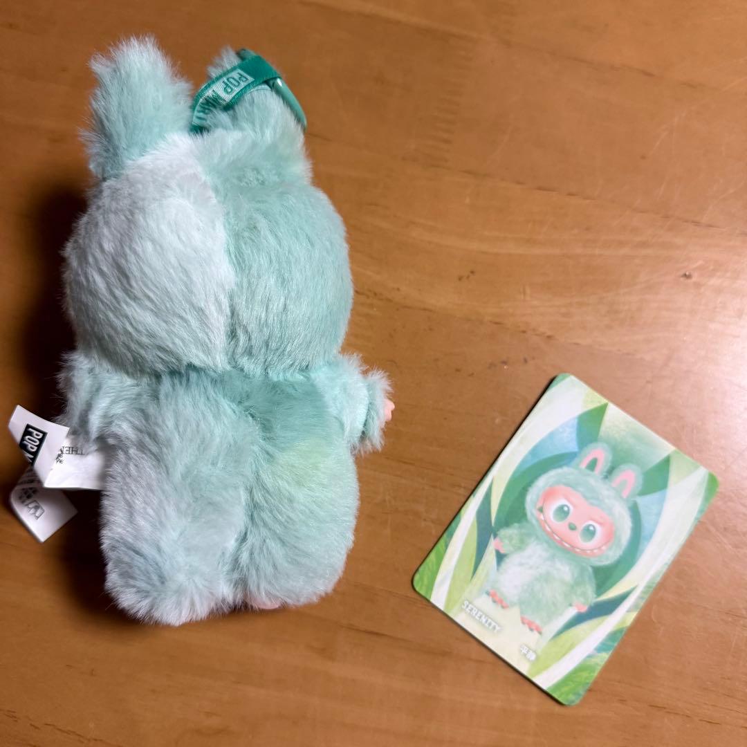 本物のラブブ