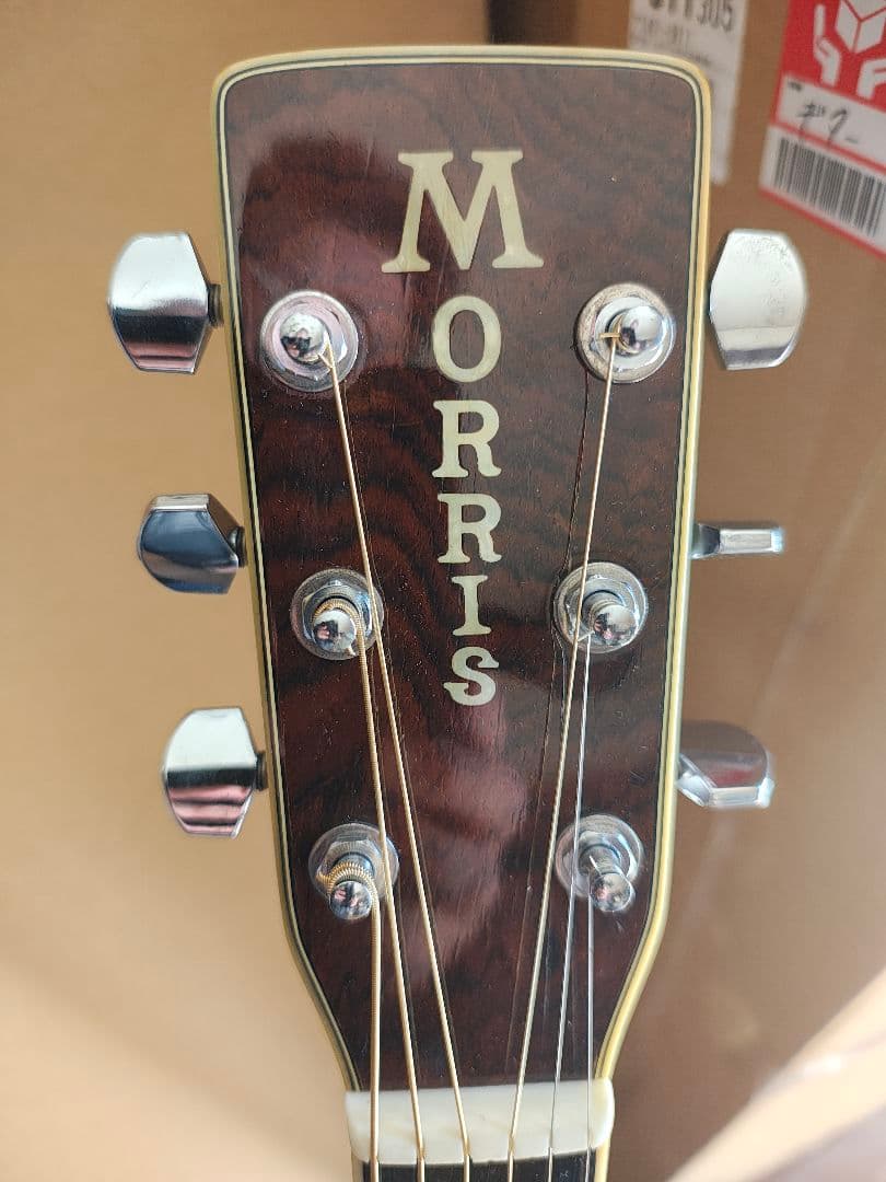 MORRIS アコースティックギター　w40