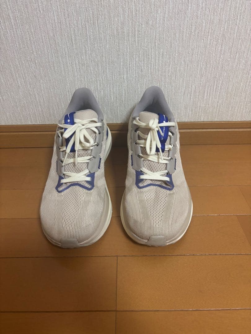 【美品・箱付き】28.5 ナイキ メンズ ランニングシューズ