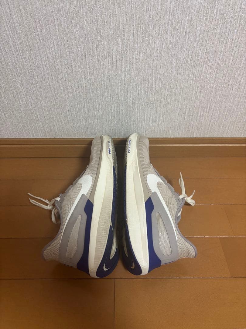 【美品・箱付き】28.5 ナイキ メンズ ランニングシューズ