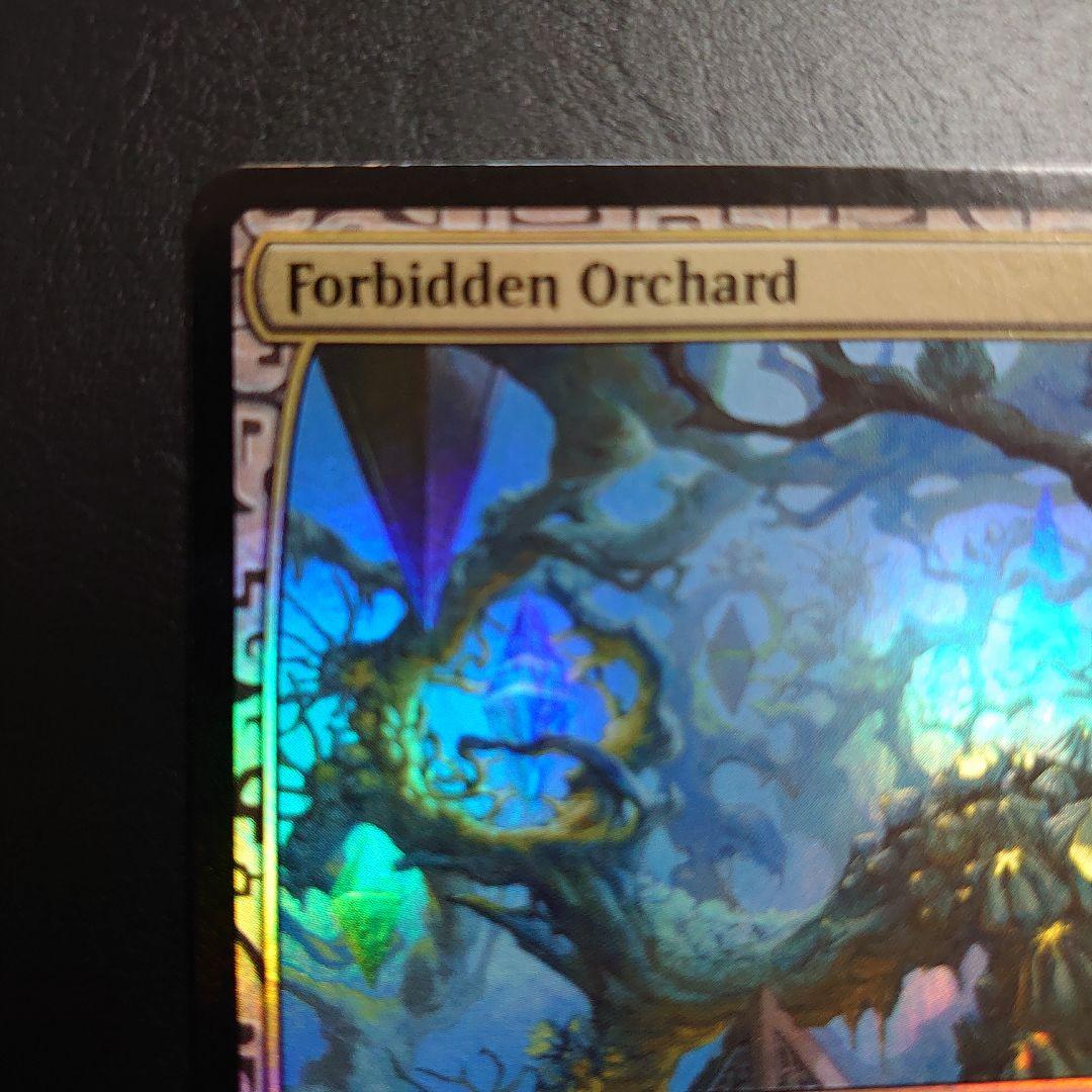 MTG 禁忌の果樹園 Forbidden Orchard EXP マスターピース