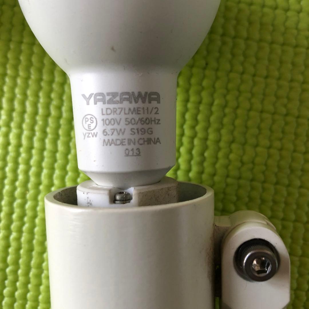 照明オーデリックスポットライト電球付き
